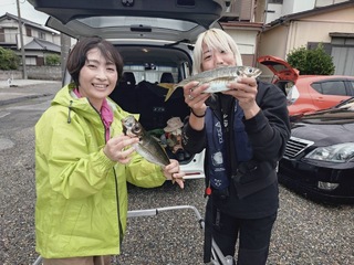 アジ