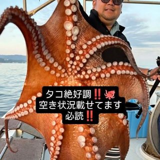 マダコ