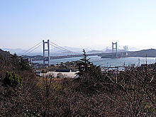 �ھ��ɴݡ������������綶