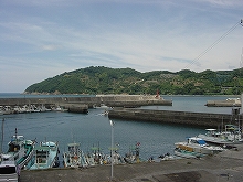 【大南荘勝丸】港全景