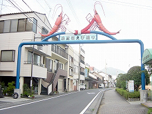 �����ڴݡۥ����饨�Ӥ�ͭ̾�Ǥ�