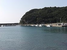 【海佑丸】港全景