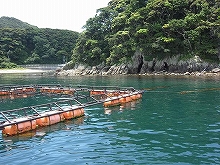 【フィッシング隼】釣りポイント