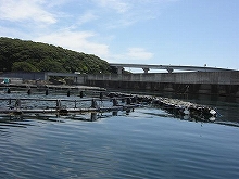 【フィッシング隼】釣りポイント