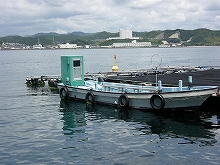 【フィッシング隼】魚種豊富なポイント