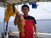 【四季丸】アコウの釣果写真