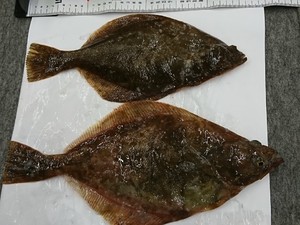 ソウハチ
