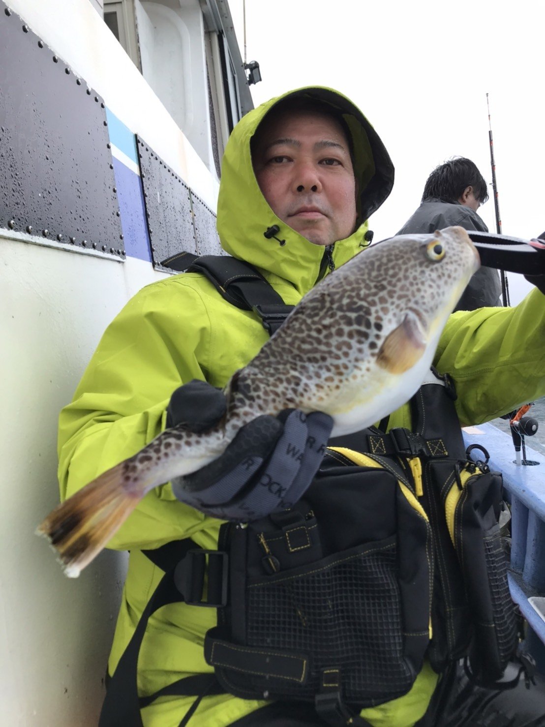 ショウサイフグの釣果 年6月13日 不動丸 茨城県 鹿嶋旧港 釣割
