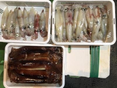 22年9月最新 卓漁丸 和歌山県 の最新釣果情報