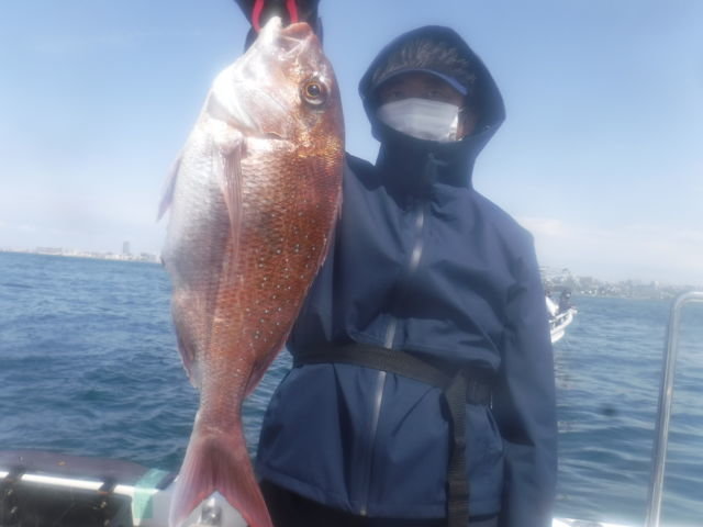 22年1月最新釣果 美里丸 兵庫県 の船釣り釣果情報