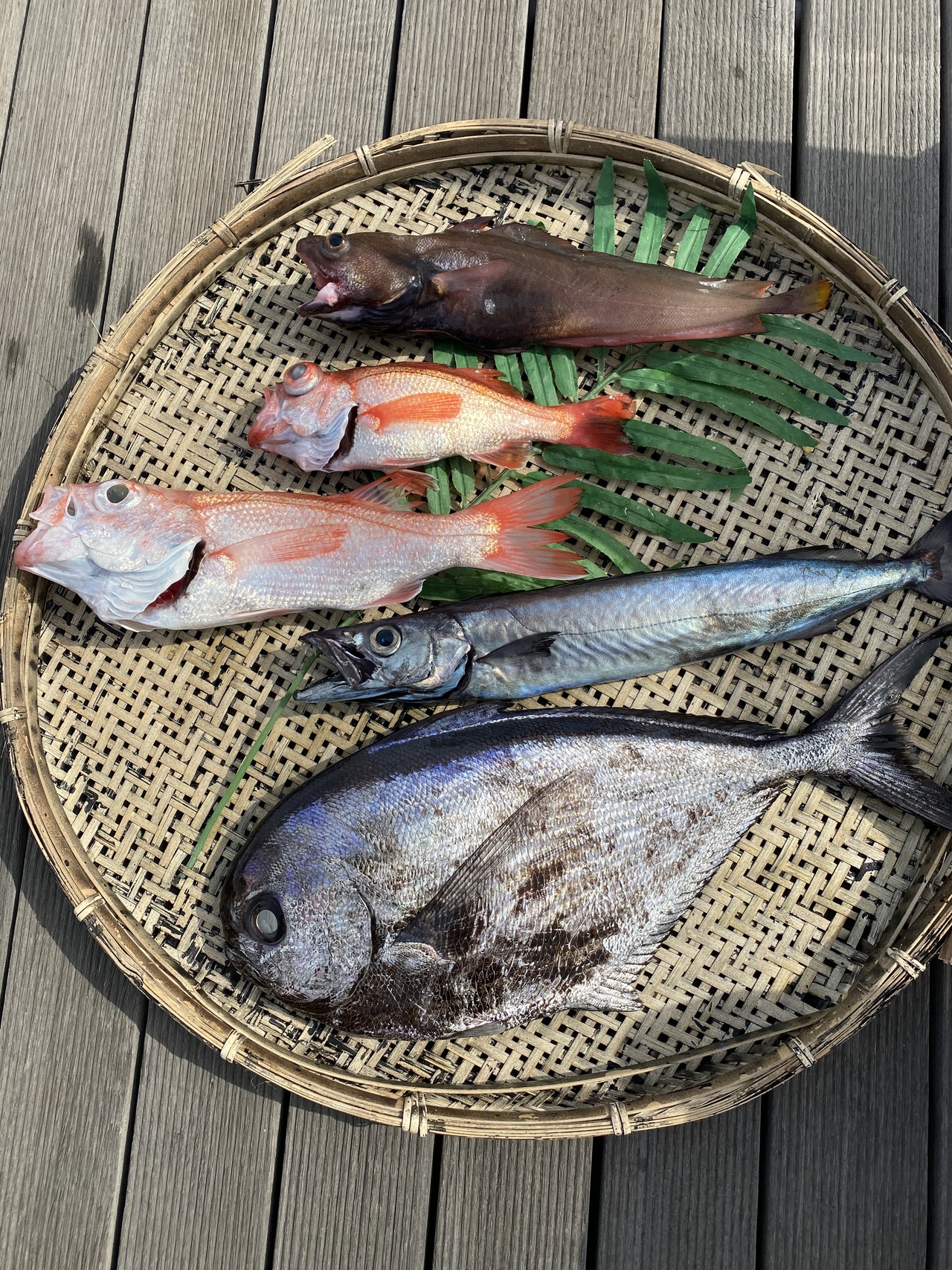 登喜丸 公式サイト 平塚市千石河岸平塚漁港の釣り船