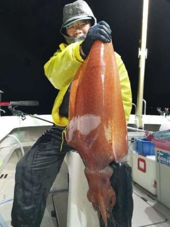 23年1月最新 泰丸 福井県 の最新釣果情報