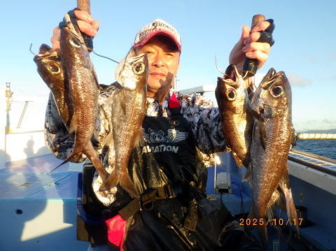 satoshimaru様 最新の釣果 聡丸