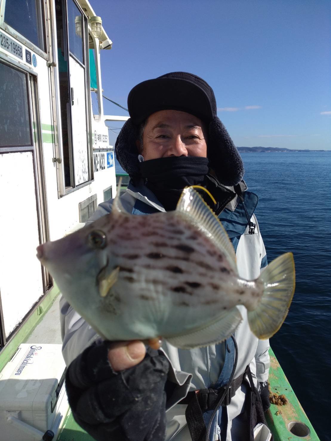 たろきち 丸物20キロ たろきち 丸物20キロ たろきち 丸物20キロ 島きち丸【公式サイト】相模