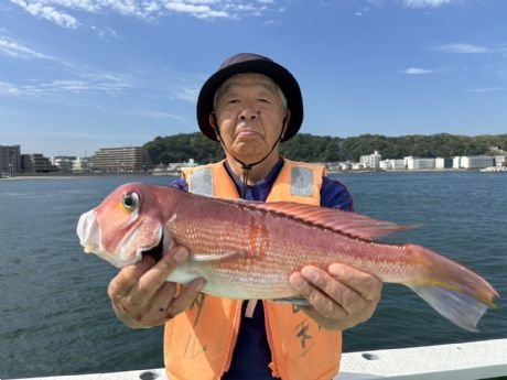 釣りのやま　ページ 最新釣り情報・釣果｜やまてん丸【公式サイト】