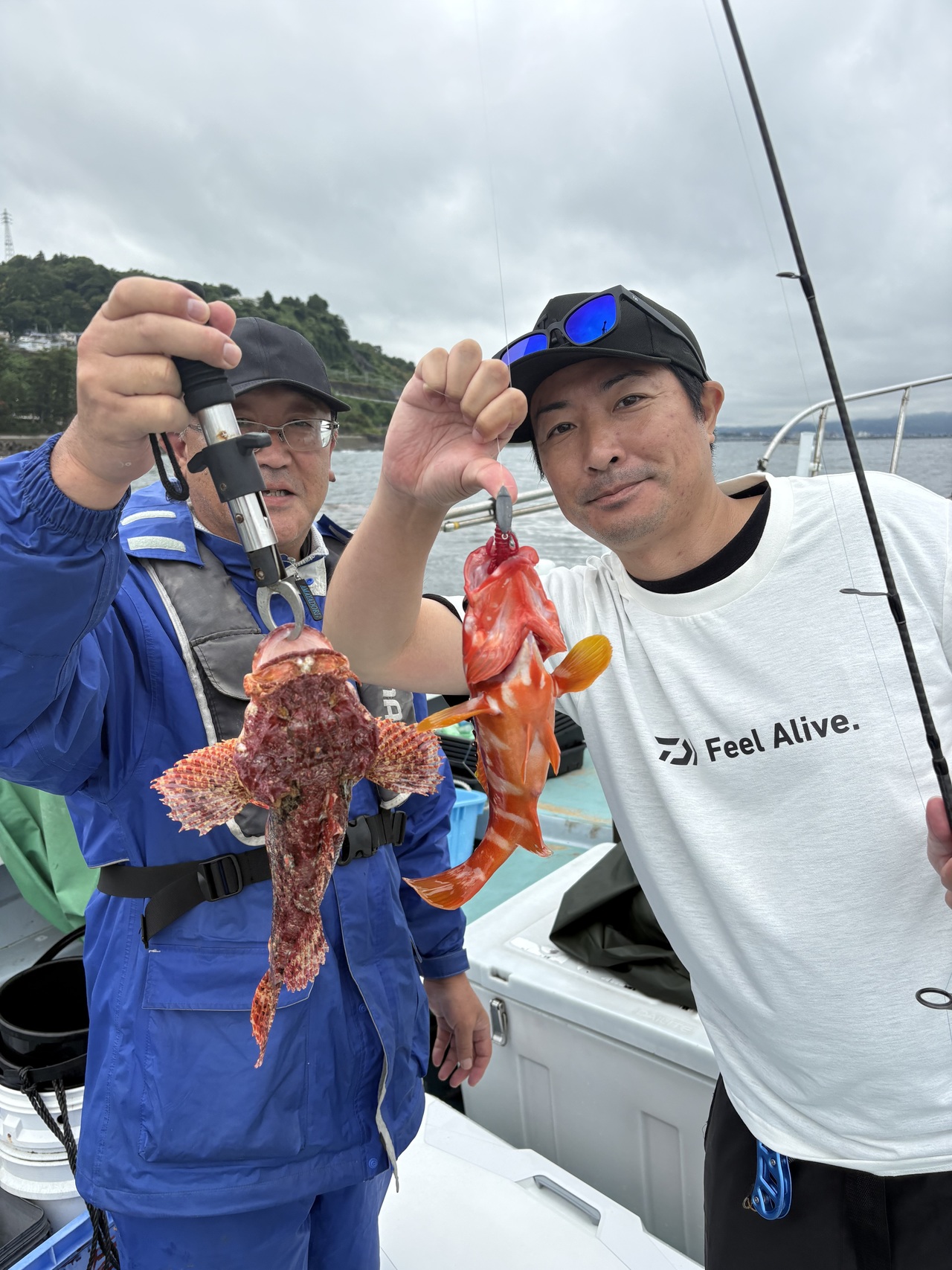 最新釣り情報・釣果｜藤八丸【公式サイト】