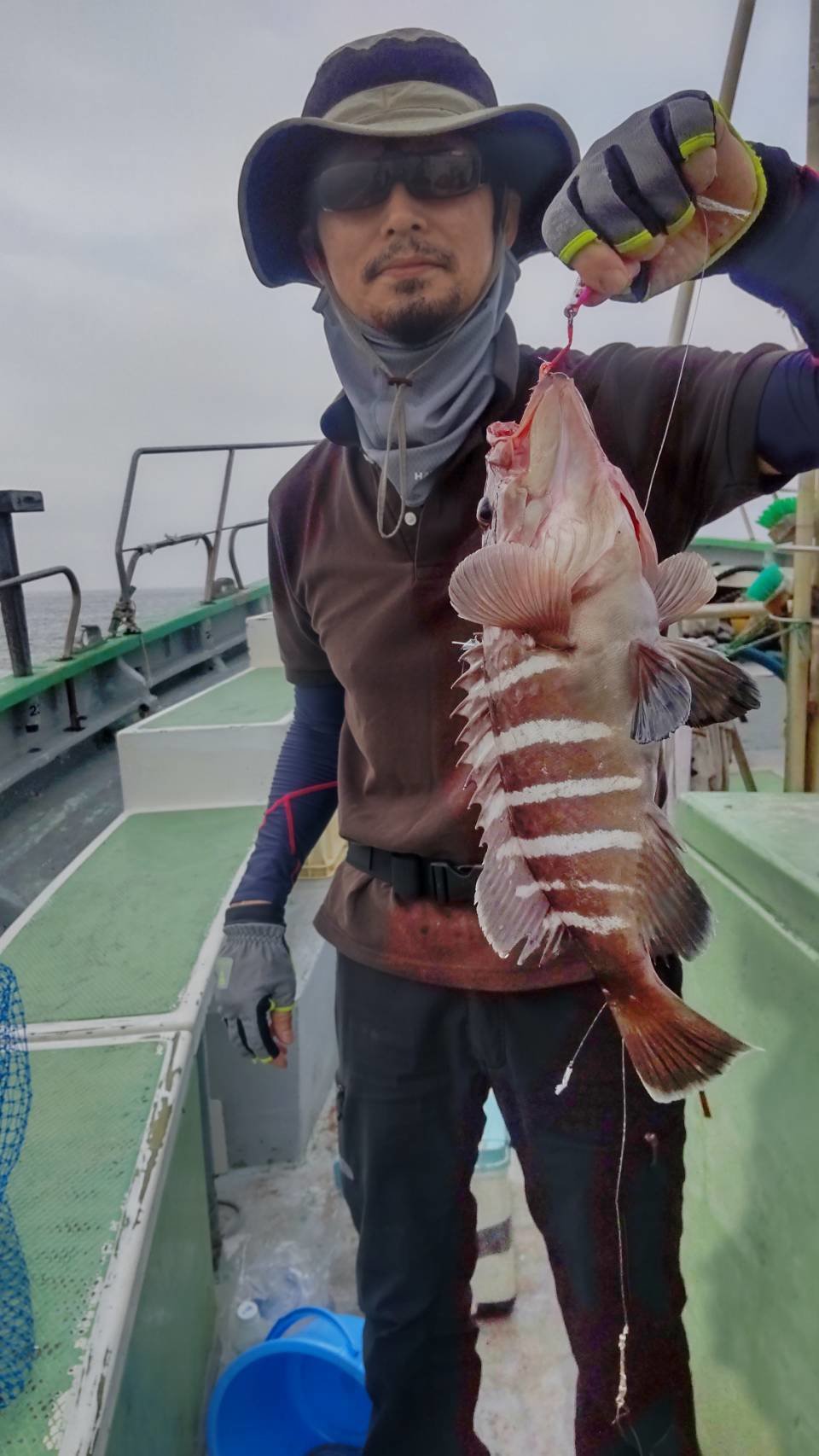 最新釣果情報・釣果｜島きち丸【公式サイト】