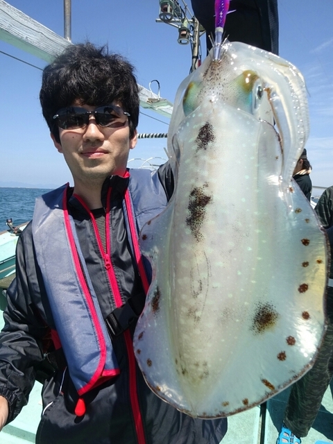 アオリイカ の釣果 15年5月19日 天力丸 福岡 脇田漁港 釣り船予約 釣割