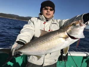 カンパチ の釣果 17年1月26日 海佑丸 和歌山 椿見草港 釣り船予約 釣割