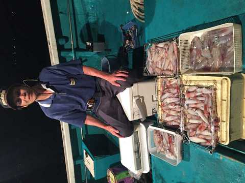 アカイカ23cm 146匹 の釣果 17年7月25日 良栄丸 和歌山 印南港 釣り船予約 釣割