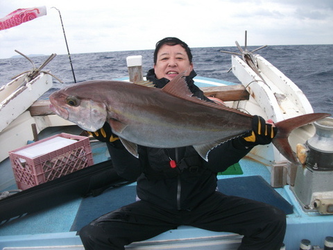 カンパチ150cm 4匹 の釣果 18年1月31日 遊漁船はなぶさ 沖縄 那覇市沿岸漁港 釣割
