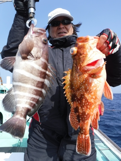 タカバ 15匹 の釣果 18年3月11日 天力丸 福岡 釣割