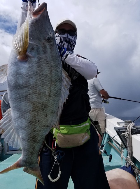 タマン の釣果 18年6月9日 第八紀丸 沖縄 石垣漁港 釣り船予約 釣割