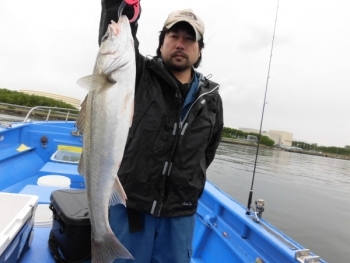 シーバス の釣果 18年6月15日 鯛紅丸 新潟 新潟東港 釣割