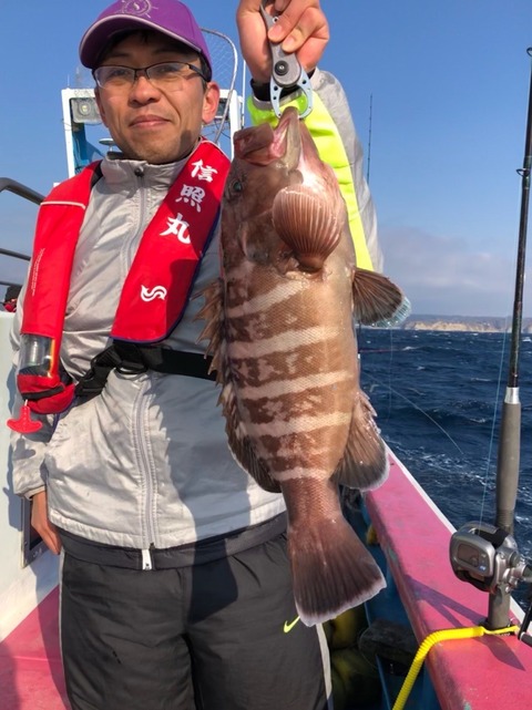マハタ1 80kg 2匹 の釣果 19年1月26日 信照丸 千葉 勝浦松部港 釣り船予約 釣割