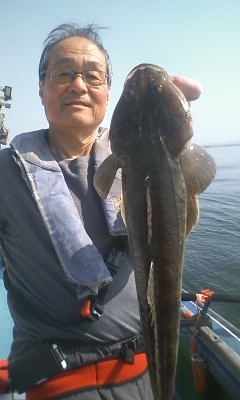 マゴチ54cm 4匹 の釣果 19年4月6日 ミナミ釣船 東京 六郷水門 釣り船予約 釣割 マゴチ54cm 4匹 の釣果 19年4月6日 ミナミ釣船 東京 六郷水門 釣り船予約 釣割