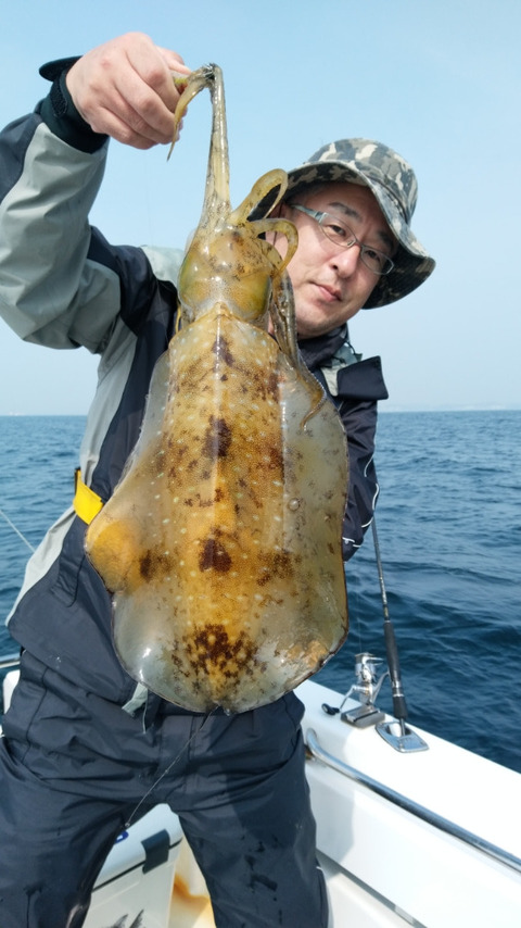 アオリイカ2 00kg 3匹 の釣果 19年4月22日 大吉丸 竹岡 千葉 ハーバー津浜 釣り船予約 釣割