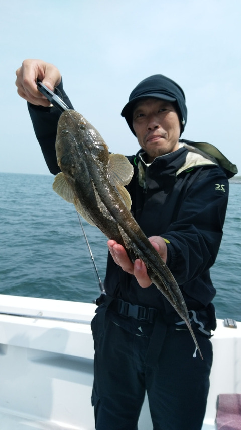 アオリイカ2 00kg 3匹 の釣果 19年4月22日 大吉丸 竹岡 千葉 ハーバー津浜 釣り船予約 釣割