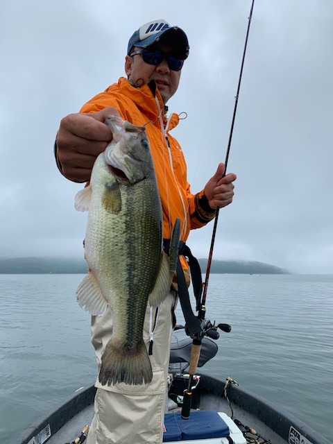 ブラックバス30cm！20匹！の釣果｜2019年6月23日｜旭日丘観光（山梨