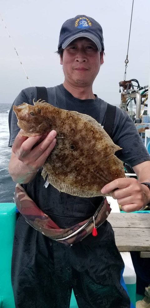 ガンゾウヒラメ50cm 1匹 の釣果 19年7月13日 桜井丸 茨城 鹿嶋新港 釣り船予約 釣割