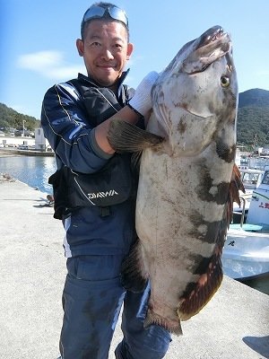 クエ102cm 1匹 の釣果 19年11月13日 上野渡船 和歌山 大引港 釣割