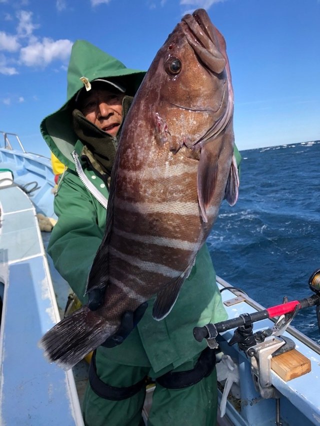 ハタ3 70kg 3匹 の釣果 19年11月日 松栄丸 千葉 大原港 釣り船予約 釣割