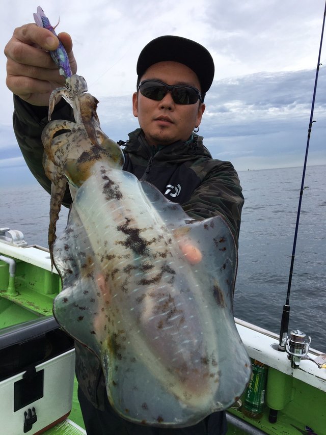 アオリイカ0 80kg 5匹 の釣果 19年11月25日 宝生丸 千葉 釣割