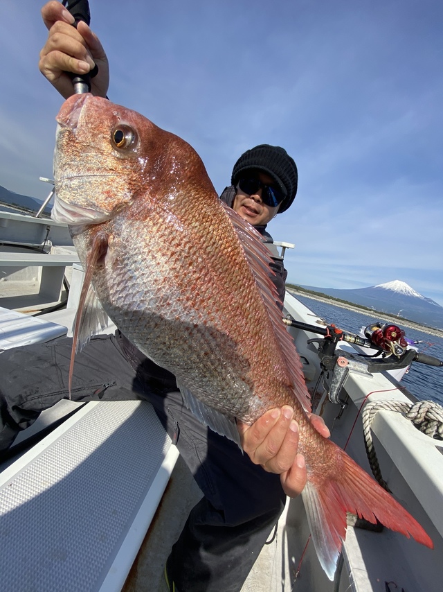 マダイ4 kg 5匹 の釣果 19年12月11日 海渡丸 静岡 田子の浦漁港 釣り船予約 釣割