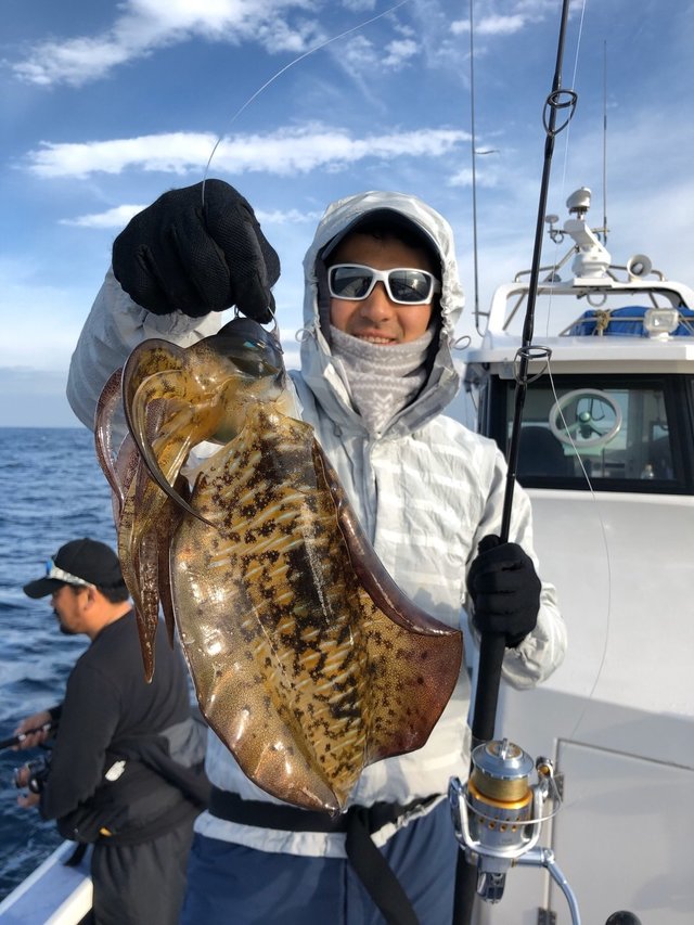 アオリイカ の釣果 19年12月12日 新勝丸 千葉 川津港 釣り船予約 釣割