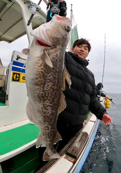 マダラcm 9匹 の釣果 年3月4日 えびす屋 宮城 塩釜港 釣割