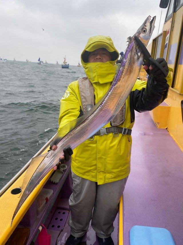 タチウオ115cm 22匹 の釣果 年3月8日 つり幸 神奈川 釣割