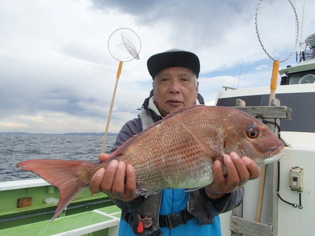 マダイ2 00kg 8匹 の釣果 年3月16日 浜福丸 神奈川 釣割