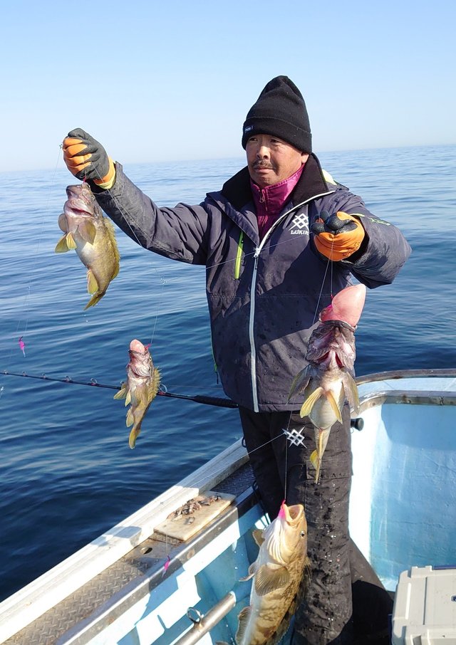 ホッケ の釣果 年4月18日 第新生丸 北海道 釣割
