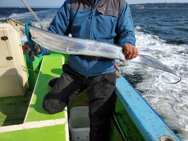 22年1月最新釣果 太田屋 神奈川県 の船釣り釣果情報