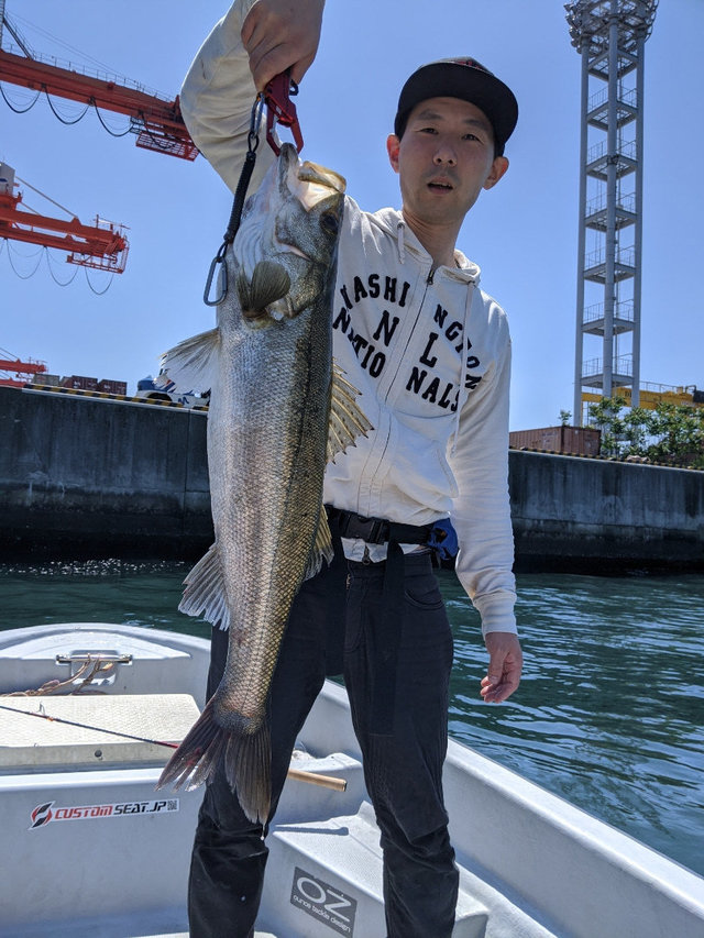 シーバス76cm 10匹 の釣果 年5月11日 Fujiyama 大阪 大阪マリンターミナル 釣り船予約 釣割