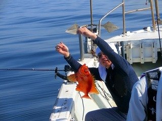 チカメキントキ の釣果 年5月24日 海釣り大好き 鳥取 酒ノ津西波止 釣割