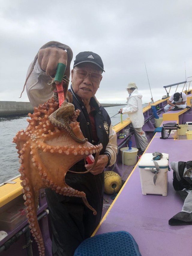 マダコ4 30kg 匹 の釣果 年6月1日 つり幸 神奈川 釣割