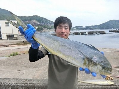 シイラ81cm 2匹 の釣果 年6月4日 上野渡船 和歌山 大引港 釣割 シイラ81cm 2匹 の釣果 年6月4日 上野渡船 和歌山 大引港 釣割