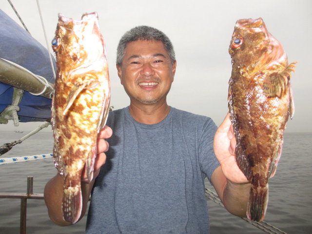 カサゴ28cm. （チャンマン） カサゴ28cm！110匹！の釣果｜2020年6月16日｜新健丸（神奈川/）｜釣割