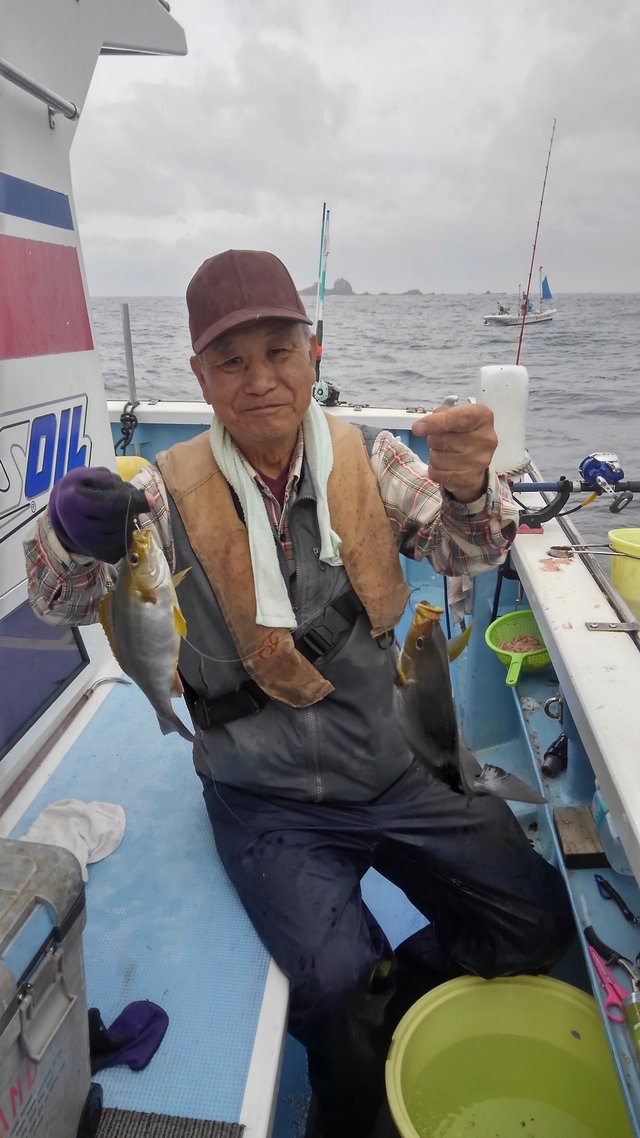 イサキ32cm 匹 の釣果 年6月26日 誠いち丸 神奈川 真鶴港 船釣り予約 キャスティング船釣り予約